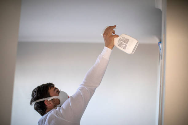 Best Emergency Mold Removal  in Foothill Farms, CA