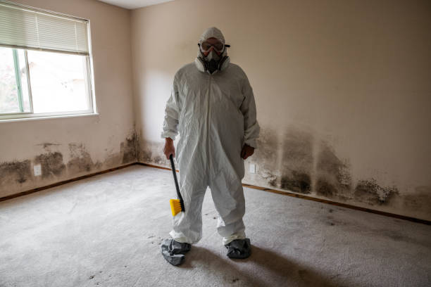 Best Mold Remediation  in Foothill Farms, CA